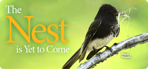 Nesting Sale