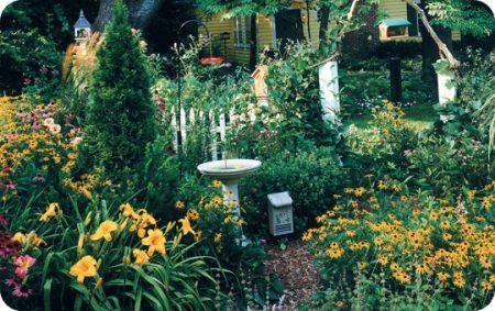 Wild Birds Unlimited Nature Wild Birds Unlimited Nature