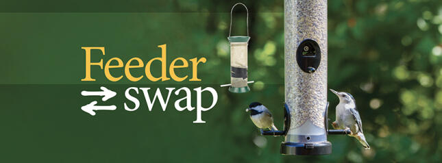Feeder Swap